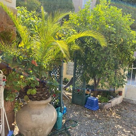 Saint-Raphaël Jardin D'Eden 아파트 외부 사진